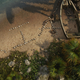 A shipwrecked boat on an island in Far Cry 6 with the word MIAU written in rocks.